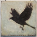 dec2012-pappas-bird7-700hi