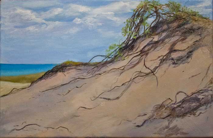 dec13cronnenwettdune700wi