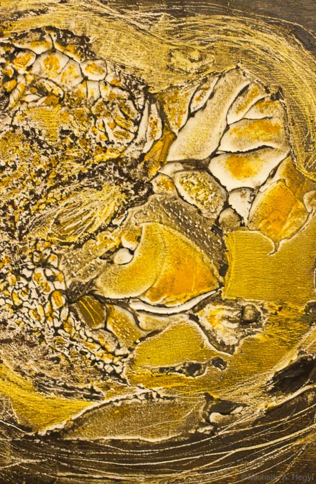 dec14-adlerstein-yel-detail-700hi