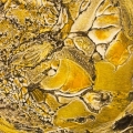 dec14-adlerstein-yel-detail-700hi