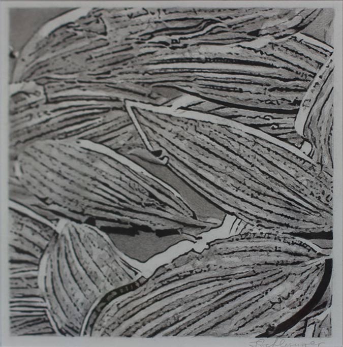 dec14-schlesinger-leaf-683hi