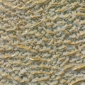 dec14-who-encgoldtexture-700hi