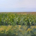 dec15-headly-summer-700wi