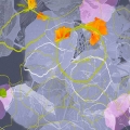 of place (home), no. 6