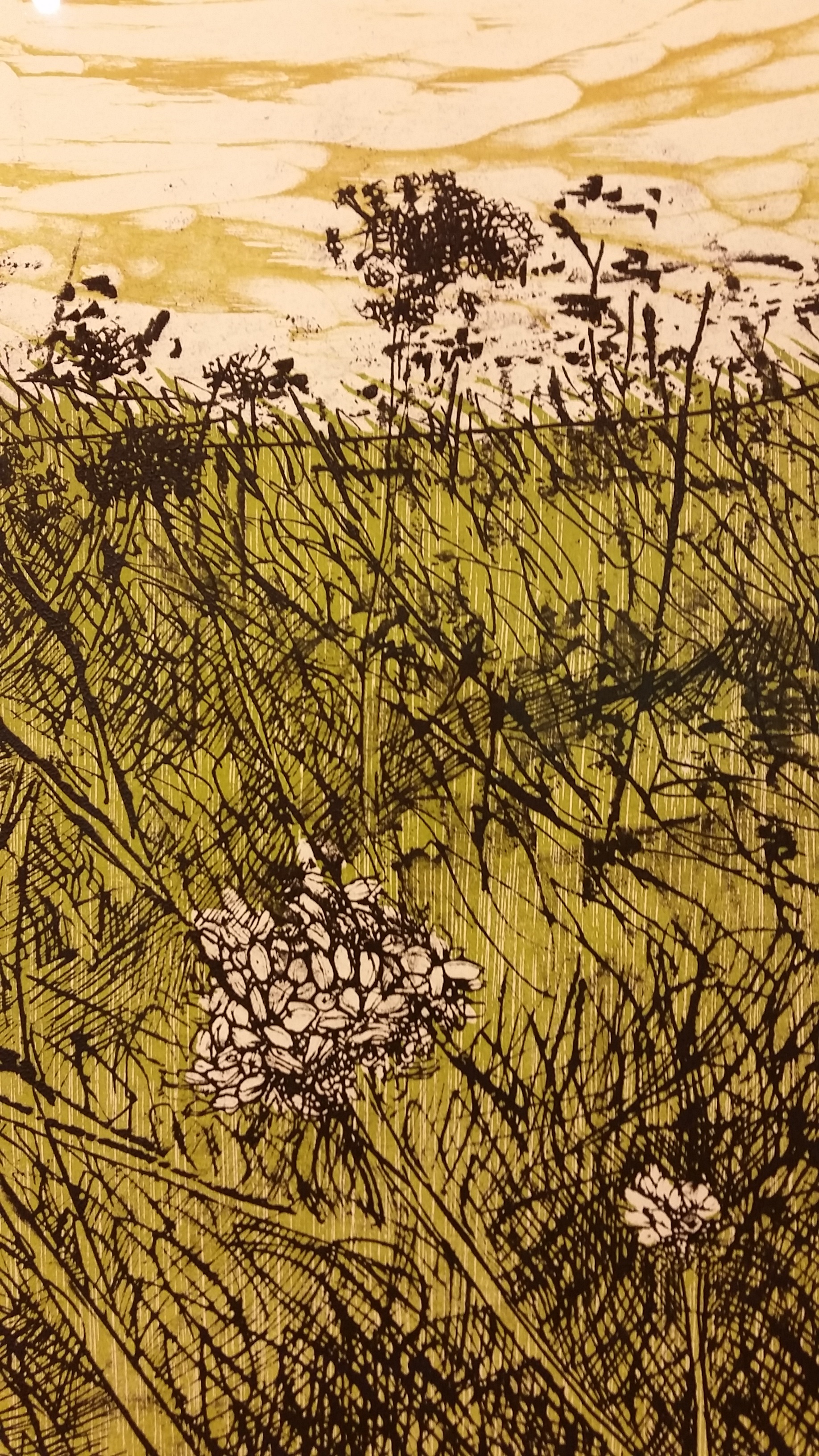 Helen Gotlib, woodcut and intaglio on paper, detail