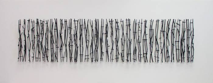  Lineup: Constructed drawing : raspberry cane, powdered graphite, matte medium, pins : 40"w x 17"h x 2"w (frame) : by Larry Cressman